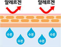 아토피 피부염 정상피부